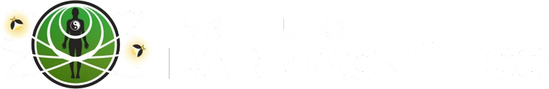 Instituto Par Magnético